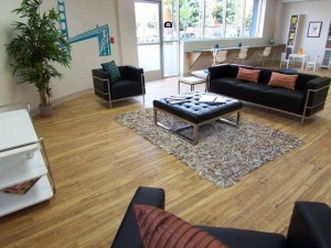 Conversation/TV Area