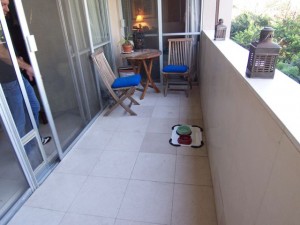 PatioBefore Patio Before